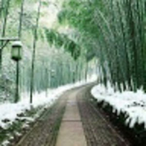 Meet your Posher, Mohammad